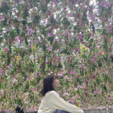松本 真佳