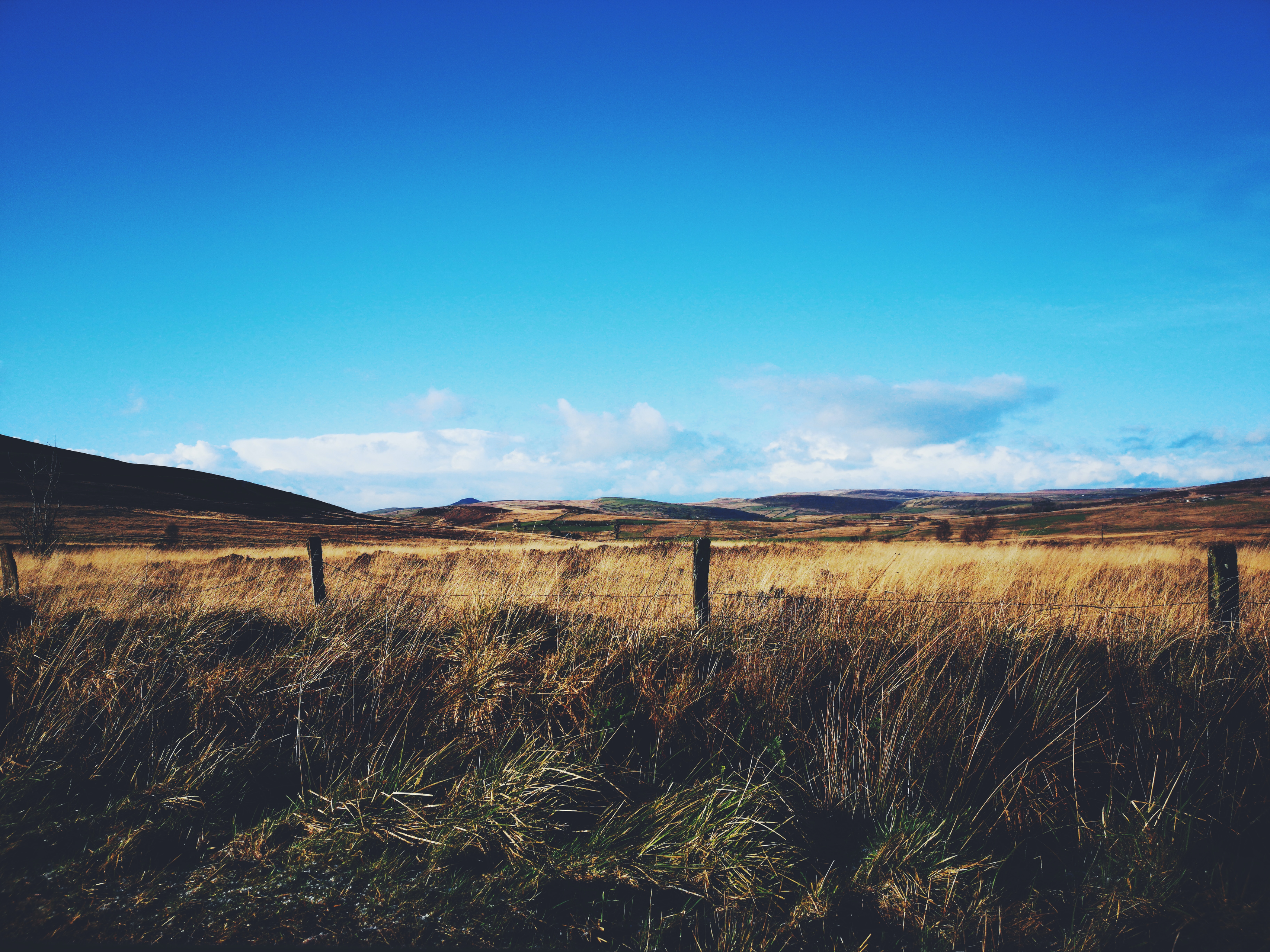 ひとがひととして生きられるために、CASEが地域で取り組むこと。