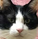 小野寺拓也