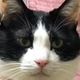 小野寺拓也