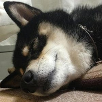 井上 隼人