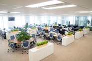 執務スペース／ベテラン社員も新入社員も垣根なく働いています。