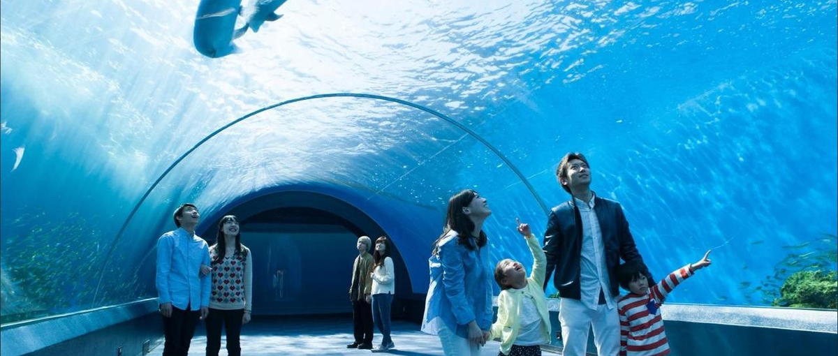 IT法人営業経験者！レジャー市場を創るマーケットプレイス新規開拓