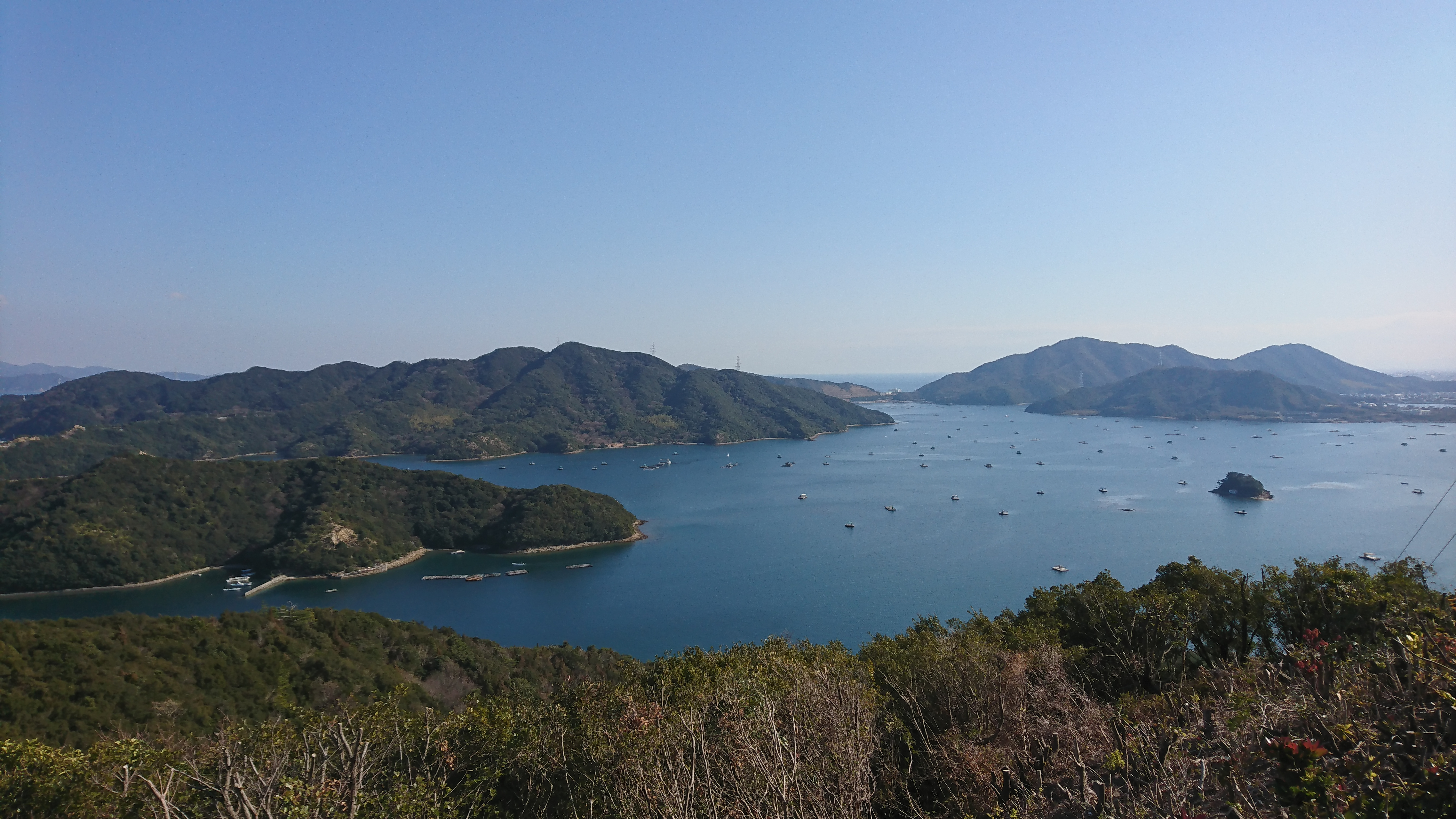 Thinkingsのエンジニア＝天職。インターンから新卒入社してマネージャーになったエンジニアのキャリア