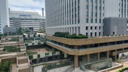 目の前にはサンシャインシティがありランチはこの中で楽しむのもOK🎵