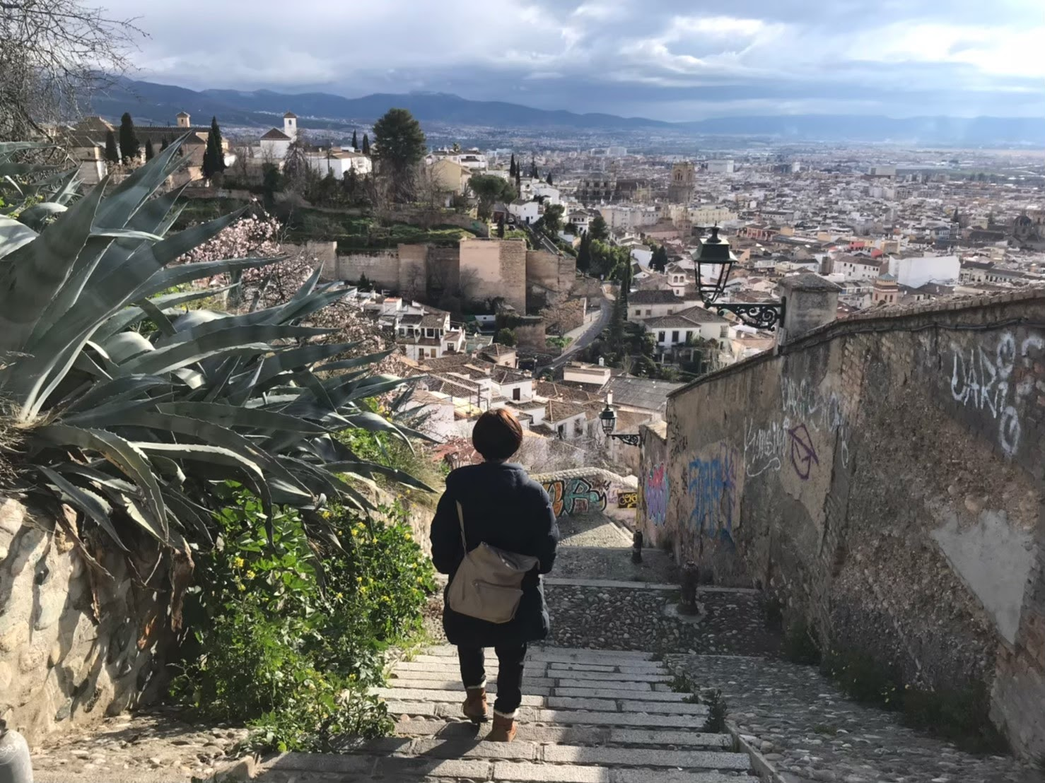 とことん悩んだ末に選んだビザスク。そして社会人1年目を終えて思うこと。