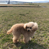 Furui Kazumaさんのプロフィール