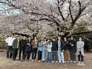 メンバー皆で代々木公園でお花見！