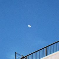 宮本