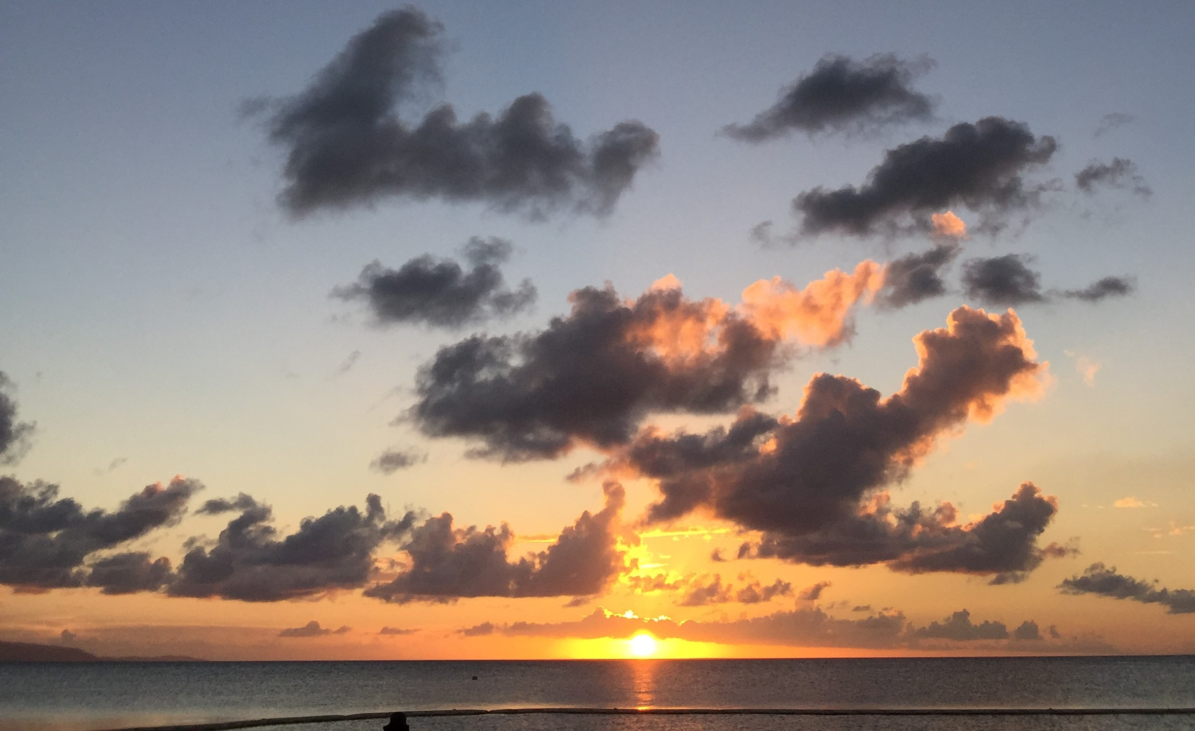 We are what we eat !