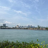 中条 春奈