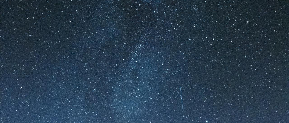 変化に強い組織で働く｜多角化による安定感を実感