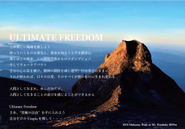 「ULTIMATE FREEDOM - 究極の自由」人生の目的と働き方が直結することで、やりがいも充実も得らえる。だからこの組織はフラットに、プレゼンさえすれば新規事業を立ち上げられたり、自分の報酬を自分で決められたりする制度などが多く存在しています。