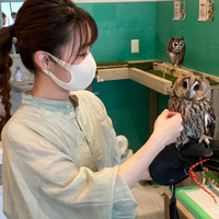 飯塚 ちひろさんのプロフィール