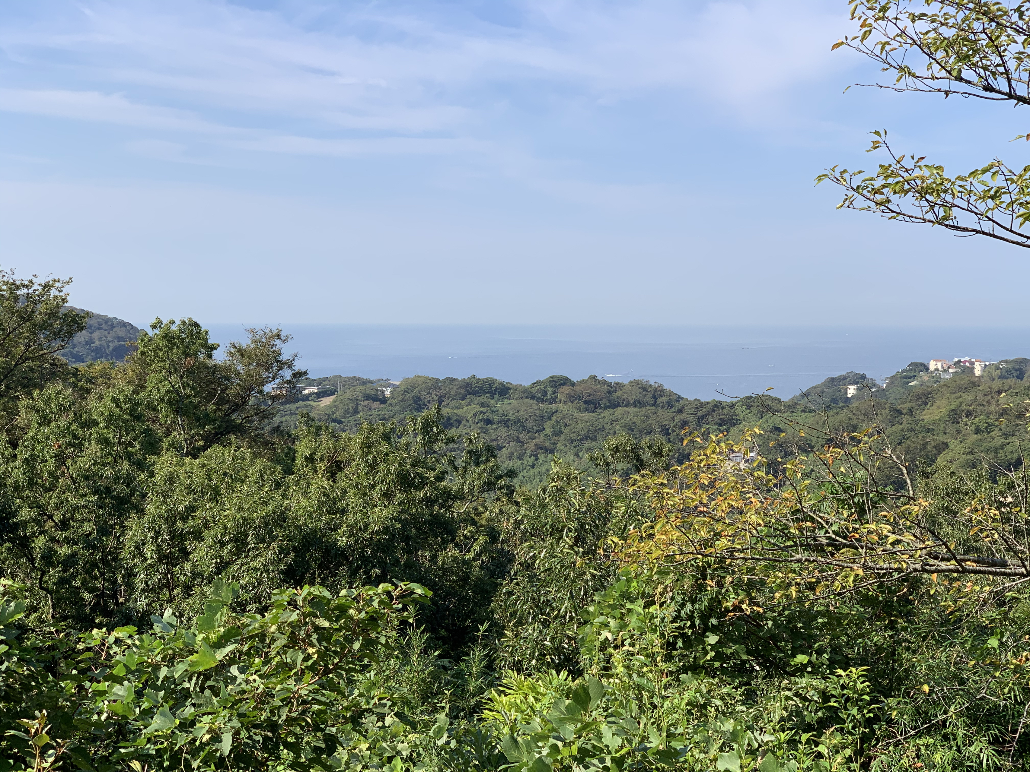 整地部合宿をしました！【開発合宿レポート】