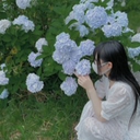 千葉 智美