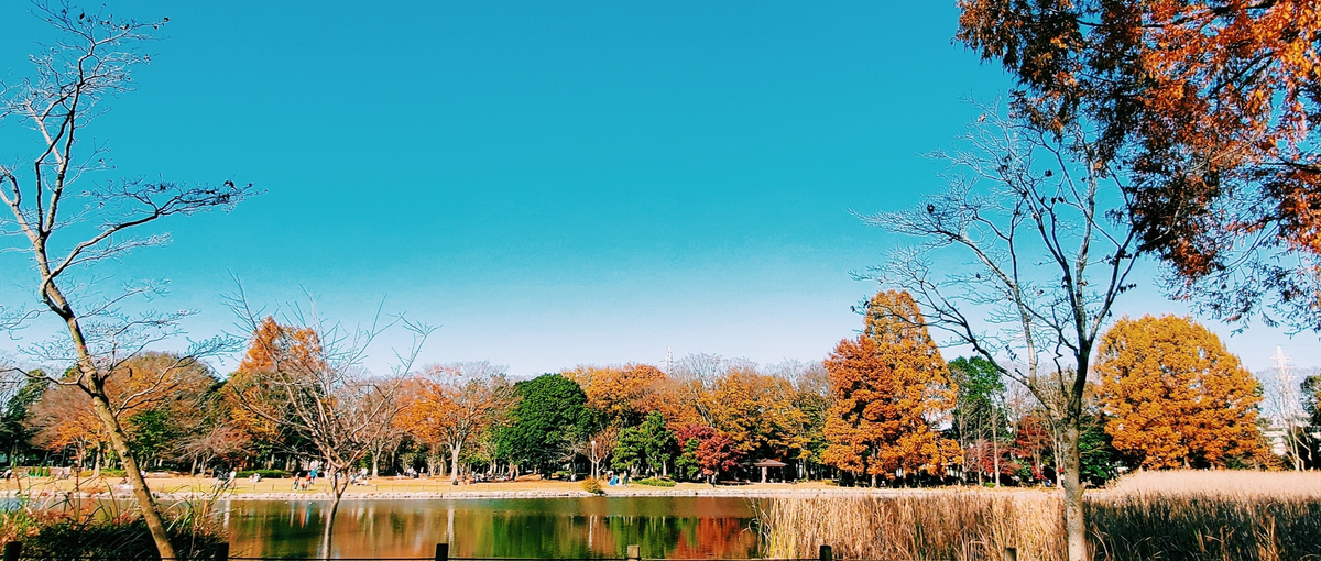 プログラマーからリーダーへスキルを拡張したいReactエンジニア募集中！