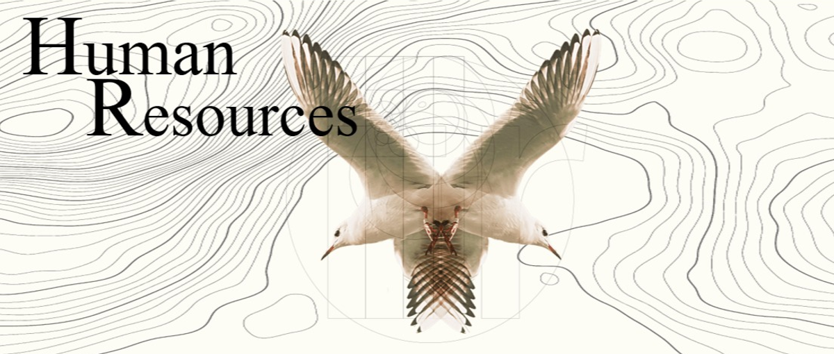 グローバルに活躍するHR募集！人と向き合い、育て、組織を動かそう