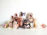 ペットを愛するスタッフたちの自由な発想や経験で、オリジナルのペットメモリアルグッズを多数開発。