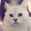 綾香 佐野