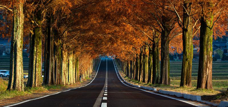 エンジニアの未来を変えるSESの新しいカタチ