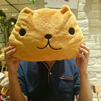古野 新悟さんのプロフィール