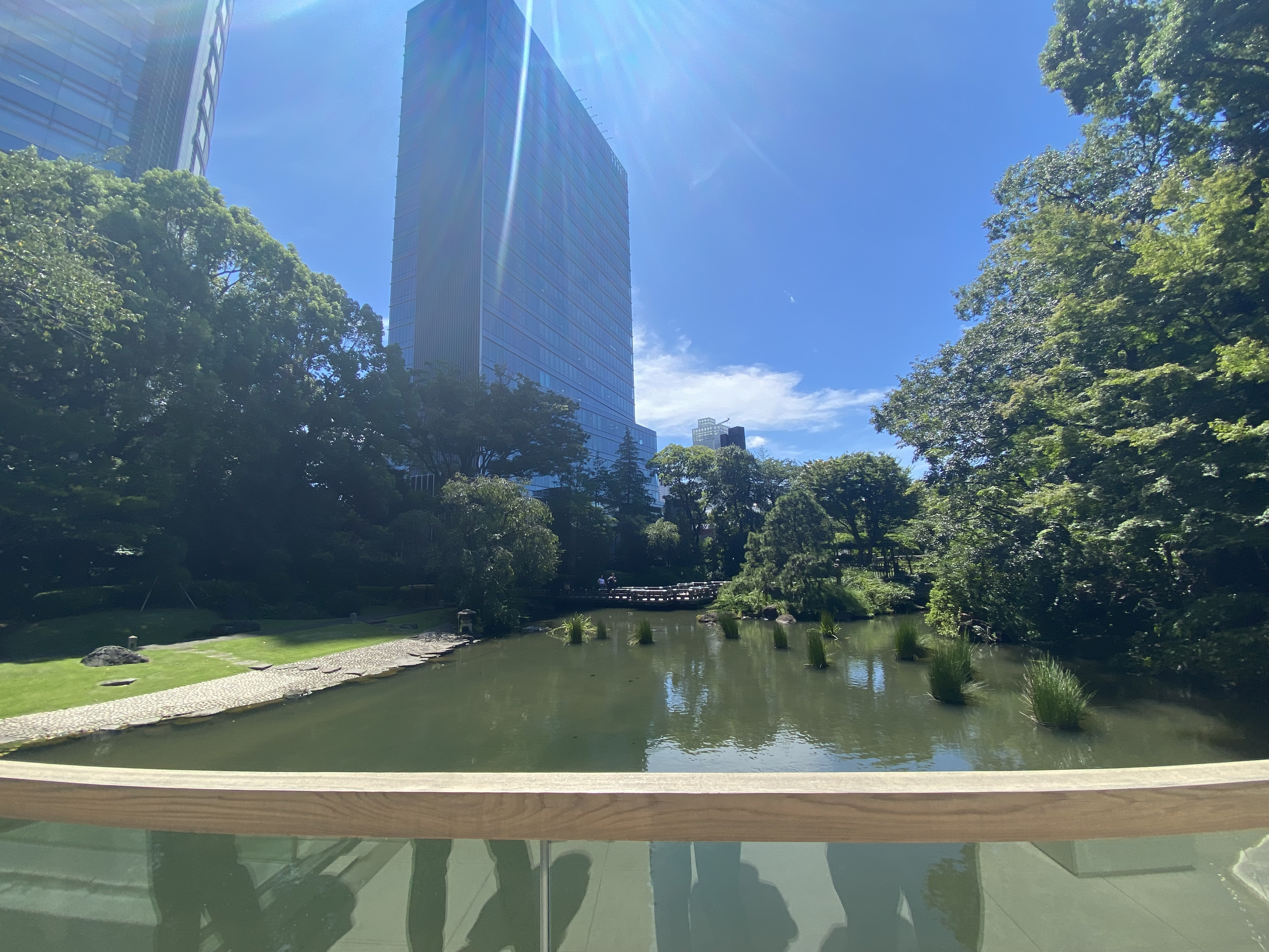 医療業界からVisionBaseに入社した、私の原体験