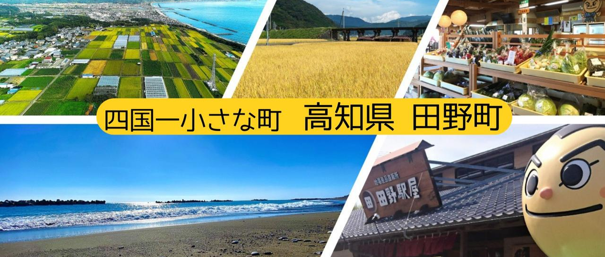見つける・つくる・届ける。田野町の魅力を全国へ！地域おこし協力隊２名募集！