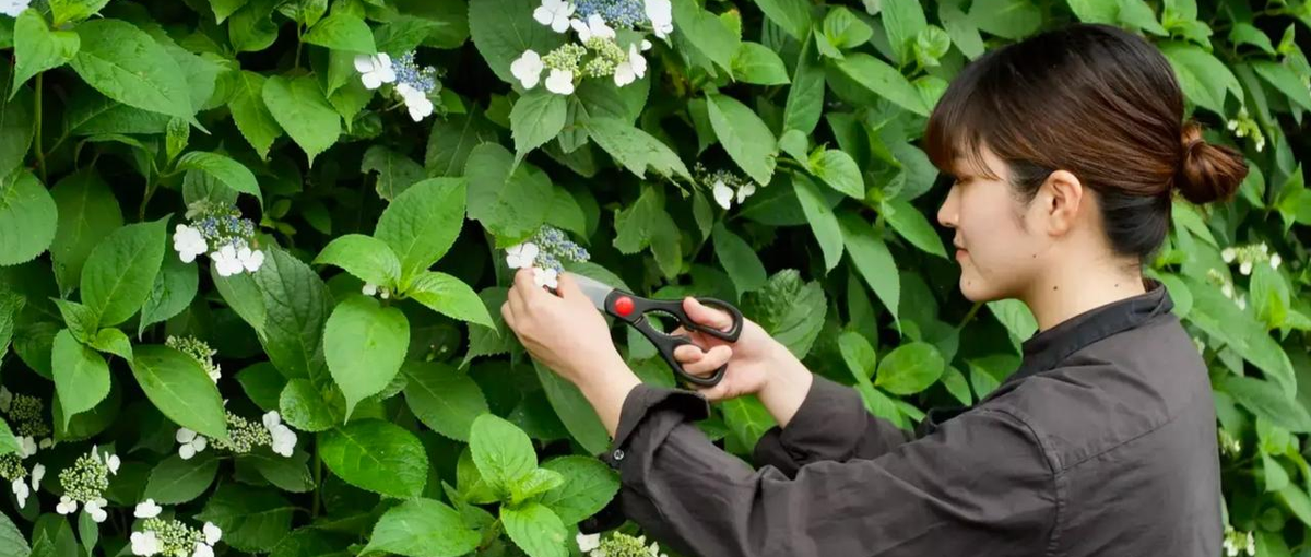  島の旬を届ける。離島レストラン専属の広報＆運営スタッフを募集＠海士町