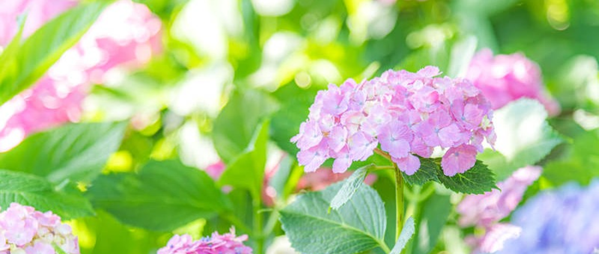 福岡Webデザイナー│Webサイト制作に挑戦！プログラミング技術も身に付く