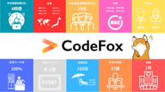 CodeFoxを現状を数値化