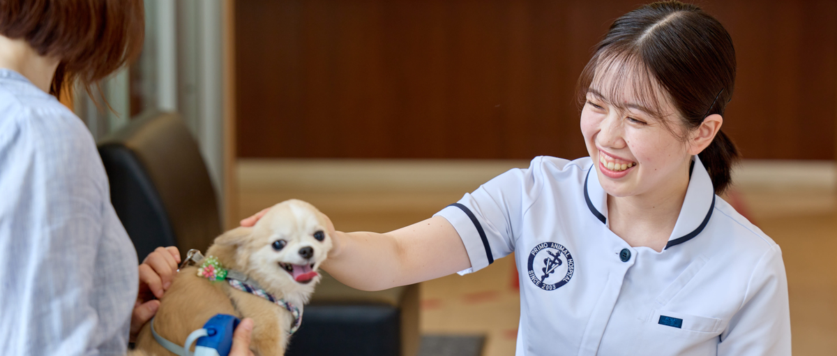 動物にも、人にも、もっと寄り添える自分へなりたい愛玩動物看護師募集！