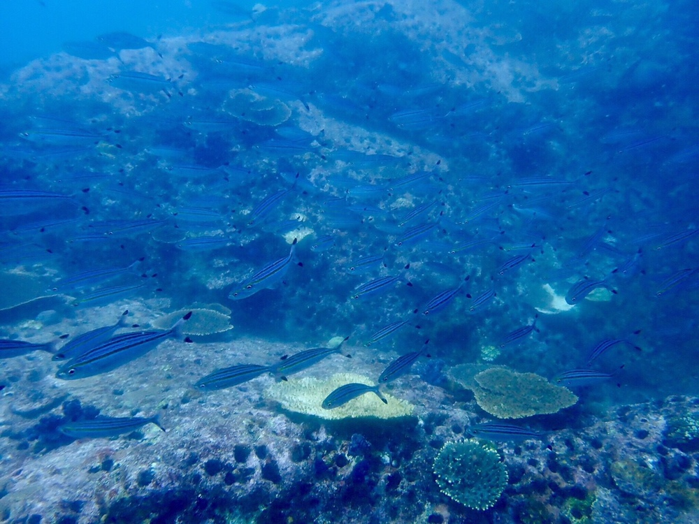 2018年GW！！ごめんなさい、満喫しすぎました！！！