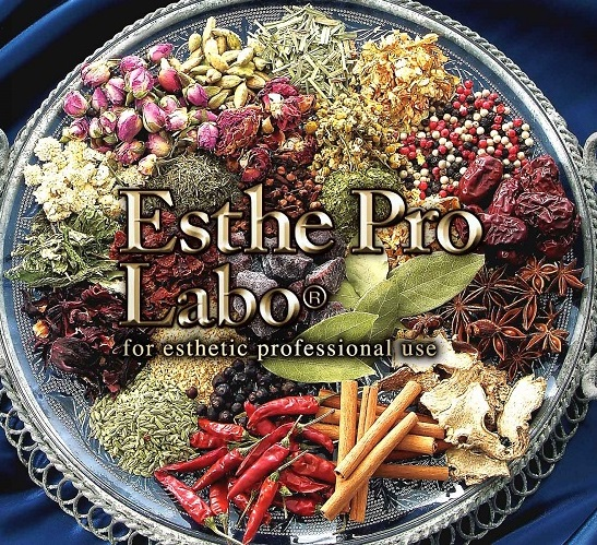 株式会社プロラボホールディングス