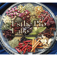 株式会社プロラボホールディングスの会社情報