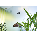 社員インタビュー