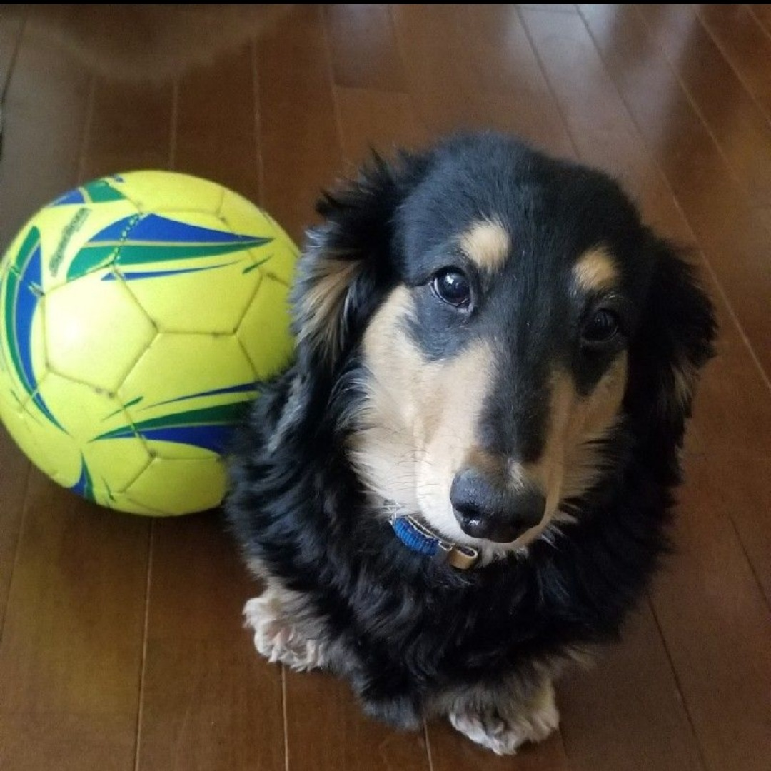 MCRM ヘルスケア担当副部長 Y・U