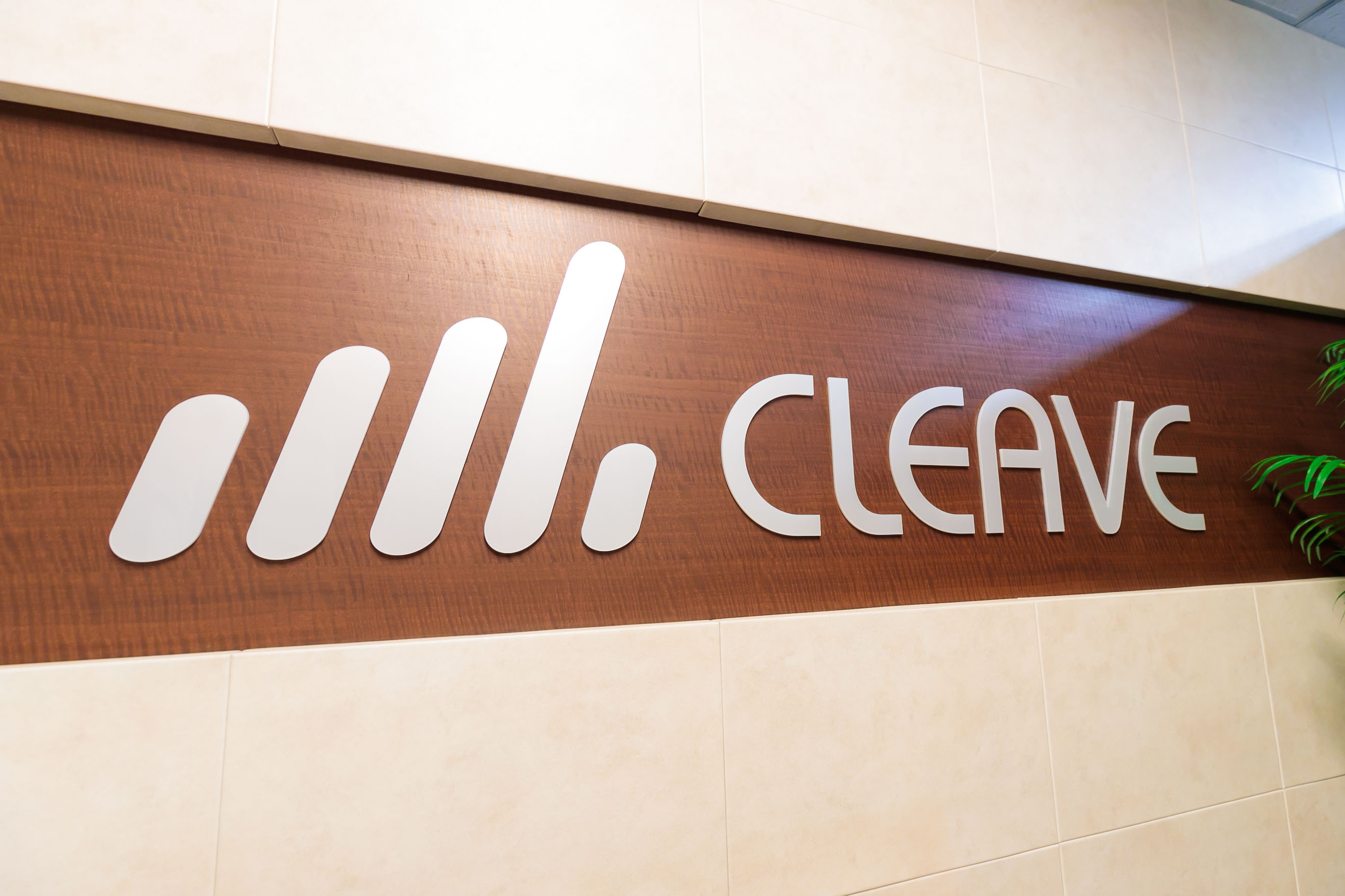 【2017年卒】新入社員レポート