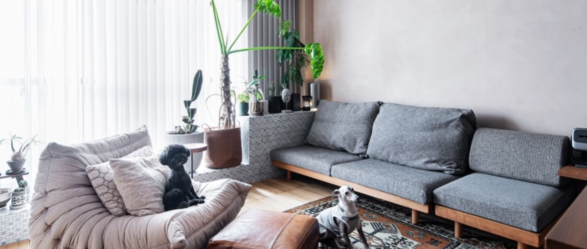 営業ディレクター｜リノベーションで社会をデザインしよう。