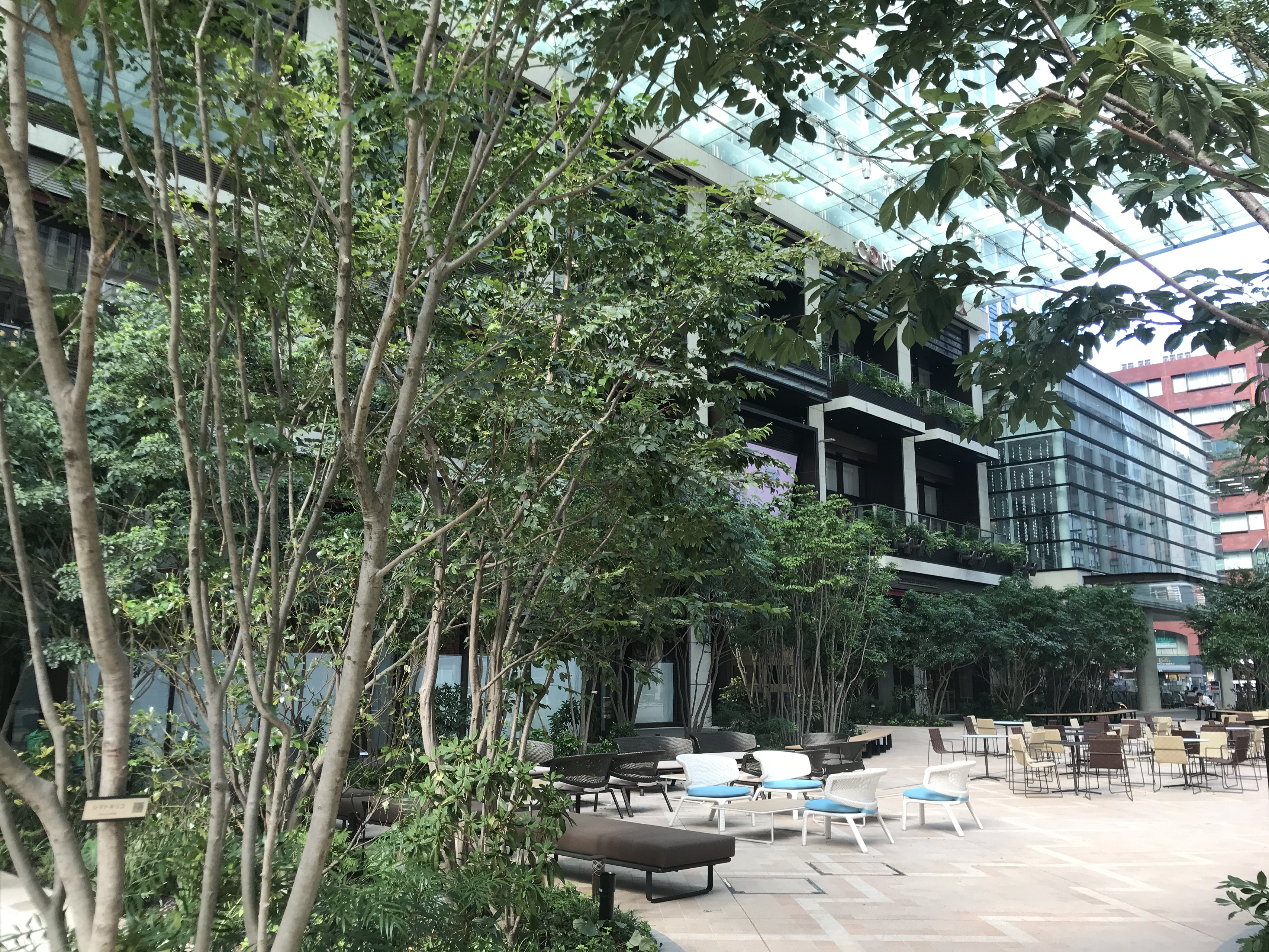 オープニングスタッフが合流しました！