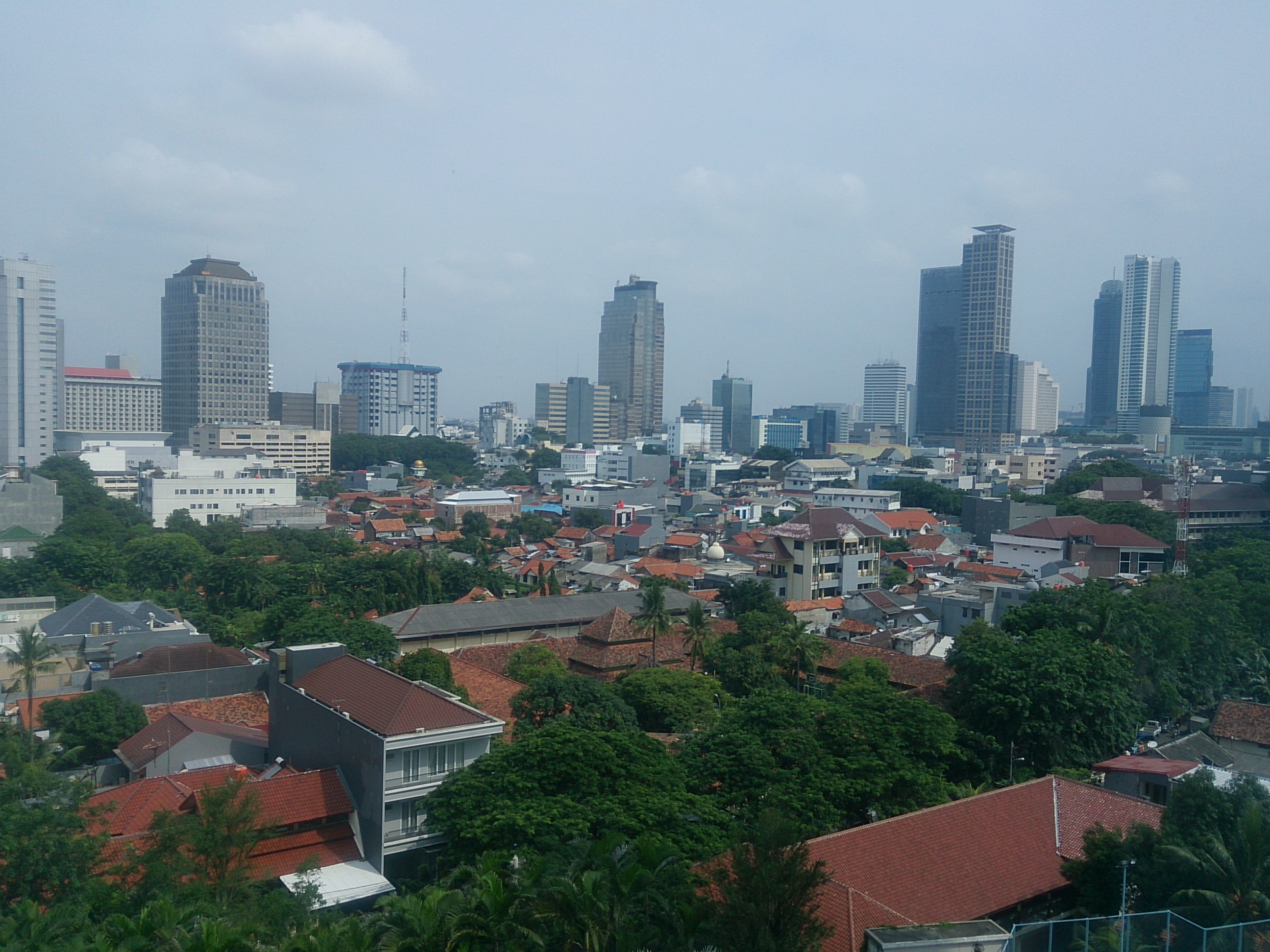 インドネシアにおけるビジネスの可能性