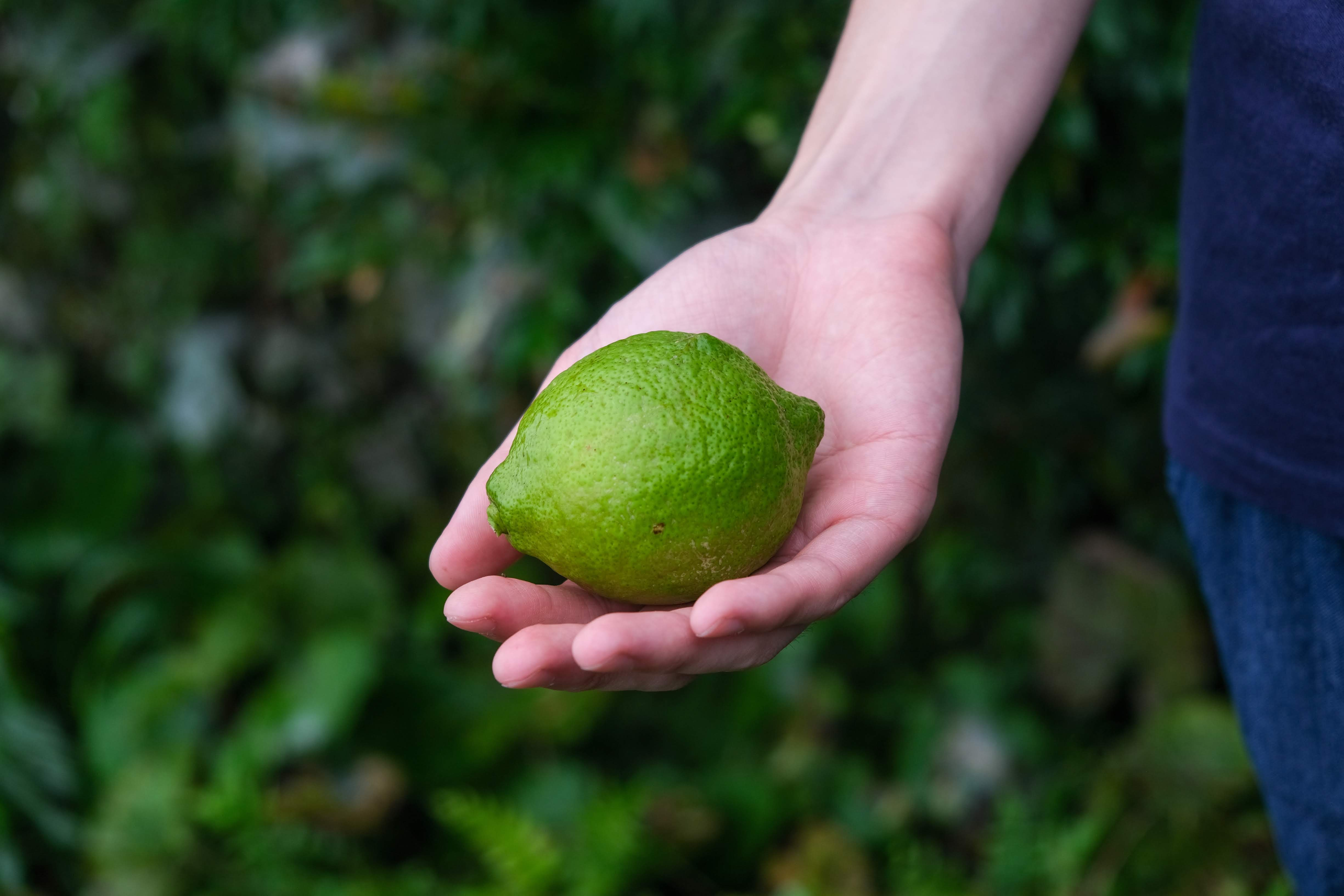 今晩、フジテレビ系「セブンルール」で弊社が紹介されます！