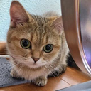 小川 太誠