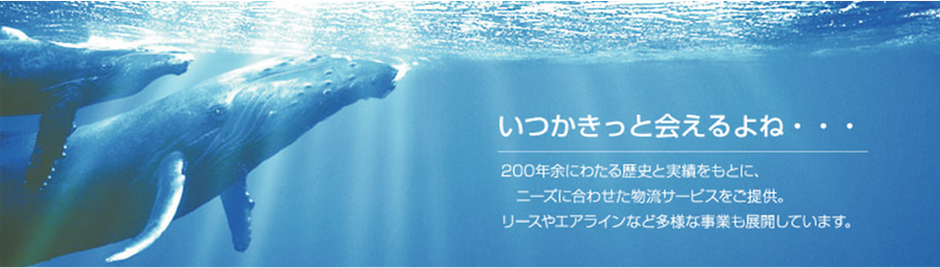 水色なクジラ君は亀さんと一緒♪オーダー用☆*:サンプル 返り