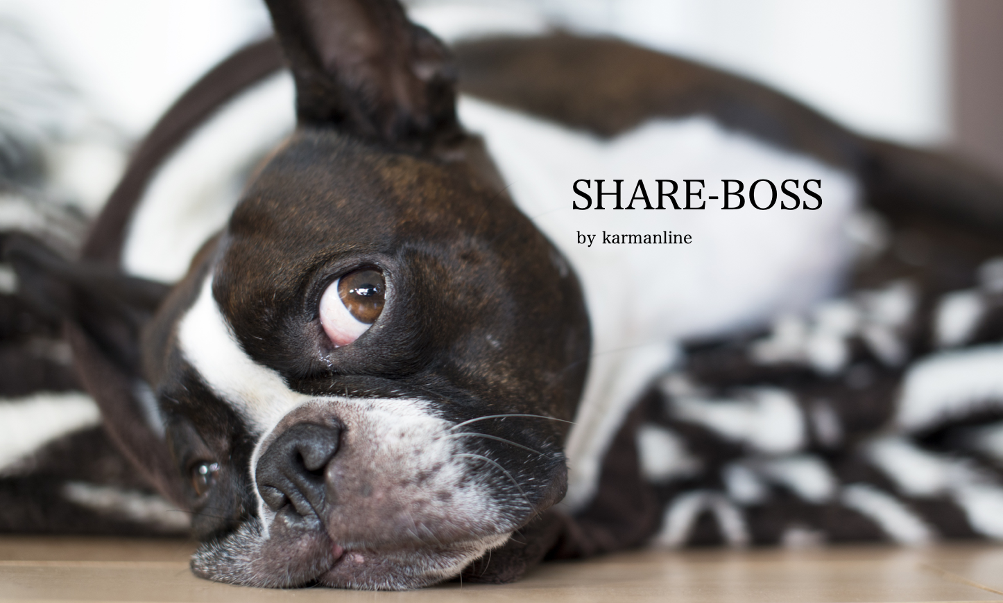 新規事業がぜんぜんうまく行かなくて悶絶する話