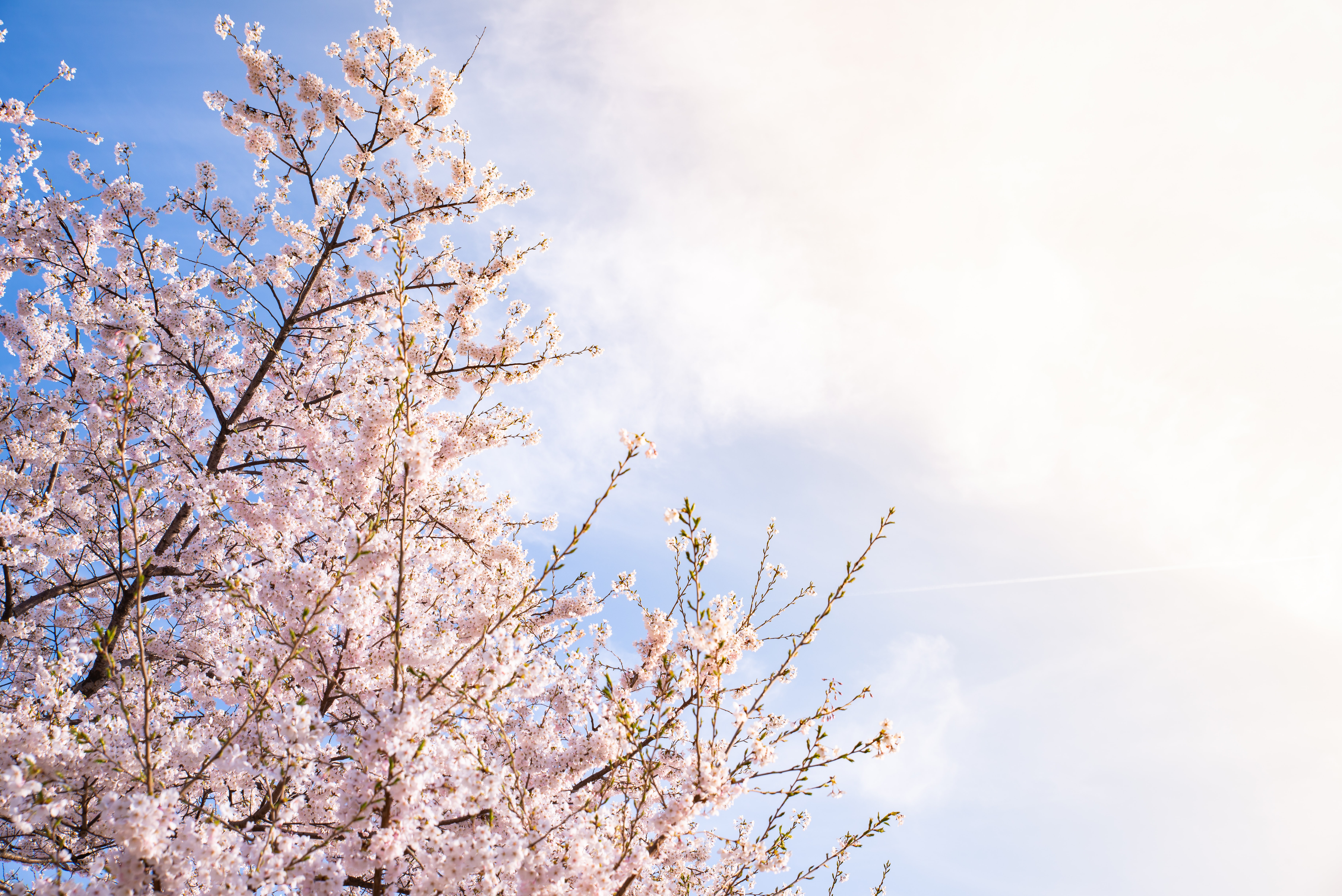 明日会社がなくなっても僕は、この仲間についていく。Beer and Techに1人目人事としてジョインして見た景色。