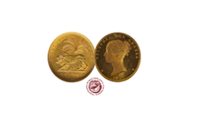 歴史的価値を次代へ。EC運営×AI活用でニッチな世界流通を創る！