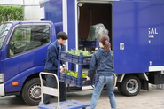 お客様先へ持っていく植物の準備。大切な植物をトラックで運びます！