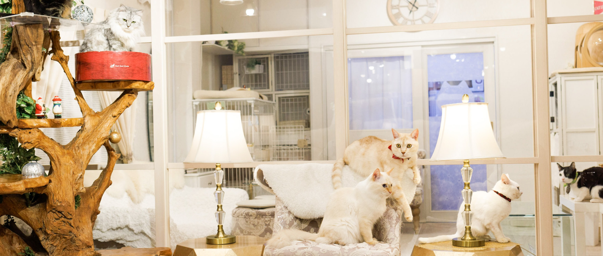 秘書特別枠　新しいキャリアデザインで輝いてみませんか