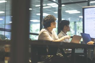 主軸となる事業に加え、更なる発展を目指し新規事業の立案にも積極的です。